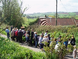 Spectators at the Children's Egg Rolling on Easter Saturday