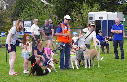 Dog show 2018