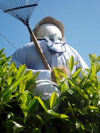 Gardener. Well House