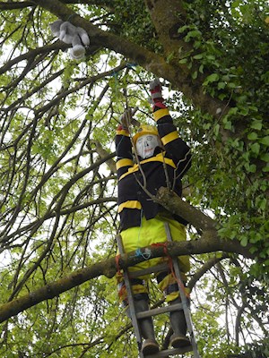 Fireman. Courtenay