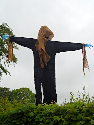 Mystery Man - appeared late with no registration form - Scary or what!