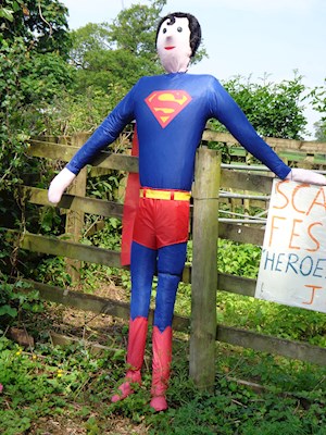 Superman. Cotleigh Cross