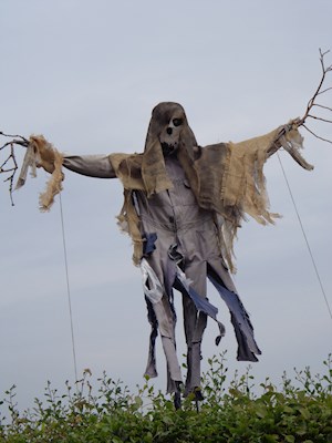 Skulduggery Pleasant. Pylemoor Cross. Winner 'Most likely to Scare'