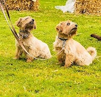 What a pair of cuties