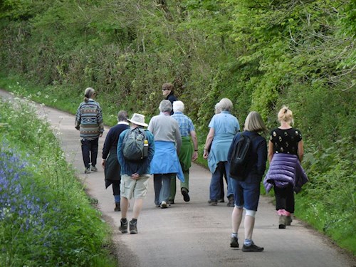 Returning via country lanes to the Hall for lunch