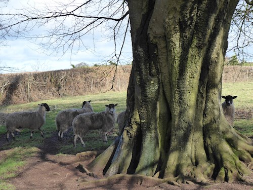 Hide and seek