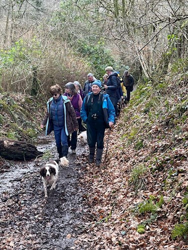 Walkers on the bridlepath through Coleford Bottom