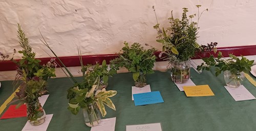 Cut herbs in a jar