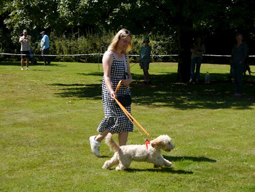 Mabel, Winner of the Puppy Class, with her owner
