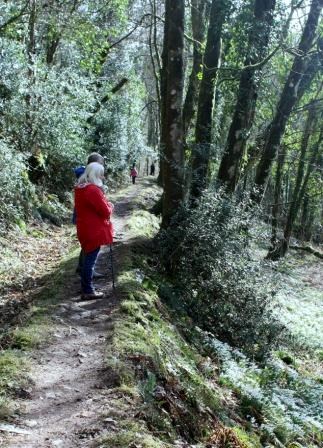 Two of the group stop to admire the snowdrops in the valley