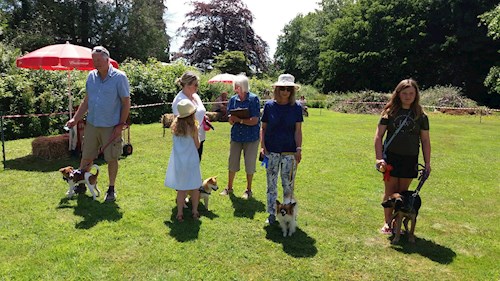 Best Puppy, Hawthorn, pictured with the 2nd, 3rd and 4th placed puppies