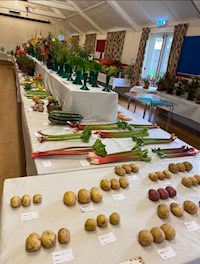 Exhibits at the Garden Club Summer Show