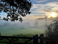 Misty morning