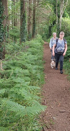 Two members following the woodland path on the Blackdown Hills