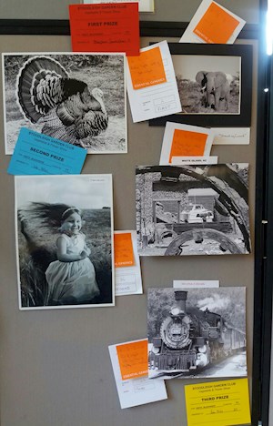 Some entries in the Black & White photograph section